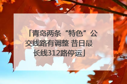 青岛两条“特色”公交线路有调整 昔日最长线312路停运